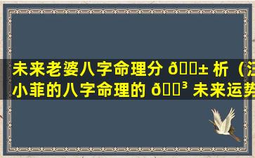 未来老婆八字命理分 🐱 析（汪小菲的八字命理的 🐳 未来运势）